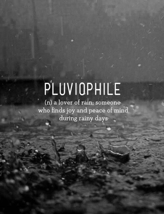 Petrichor Pluviophiles why the smell of rain is so seductive