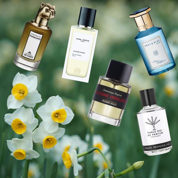 Dreaming of Spring with Narcissus Scents