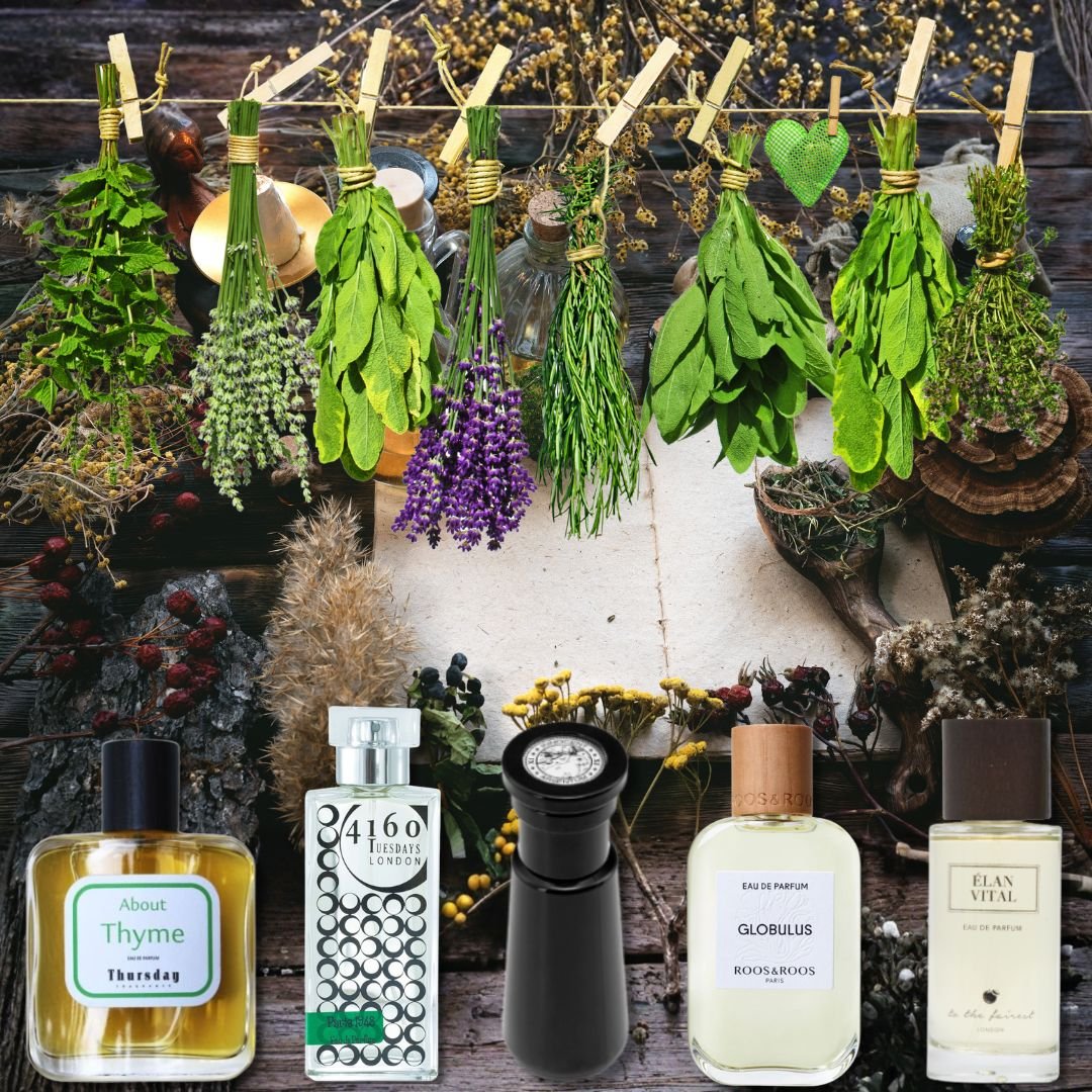 Alaïa Parfum - beauty made absolute