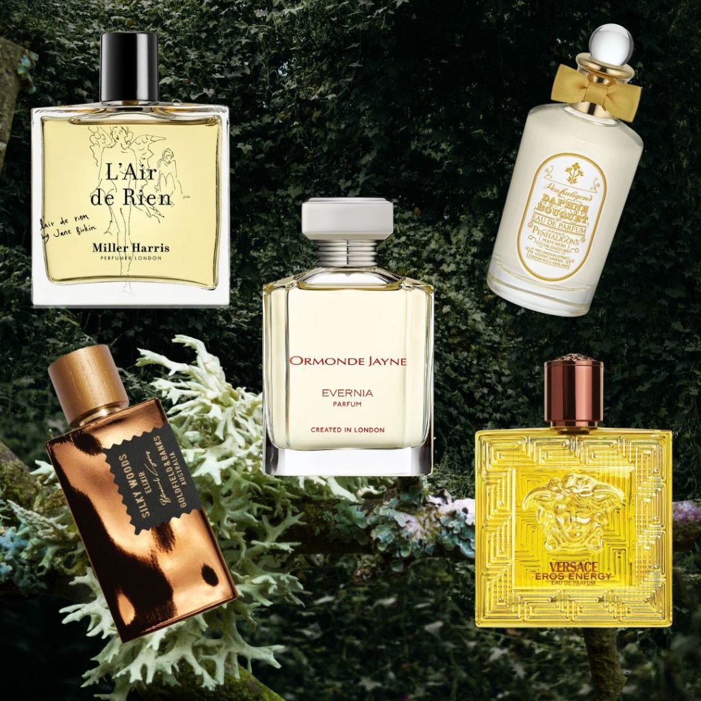 Oakmoss: The Perfumer's Gift - The Perfume Society