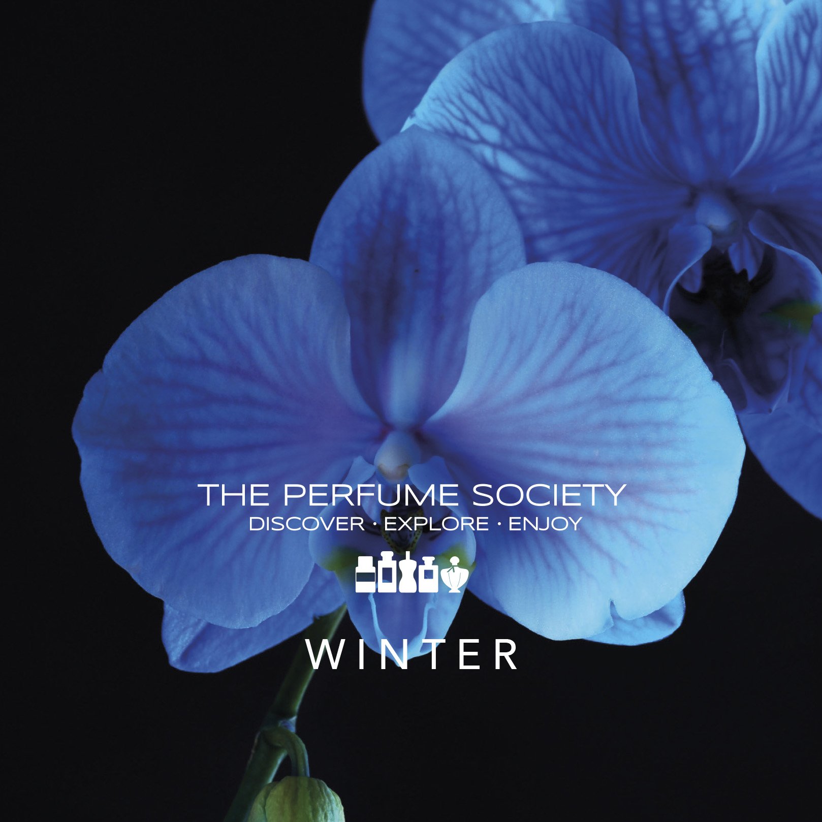 Seasonal Scents Winter – Last Week